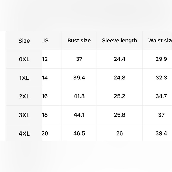 Semi Sheer Velvet Zipper Long Sleeve Bodycon Dress-Plus - Picture 4 of 4